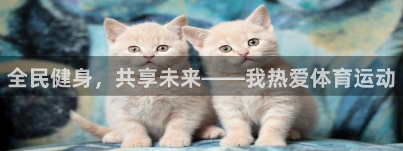 新球体育成为分析师