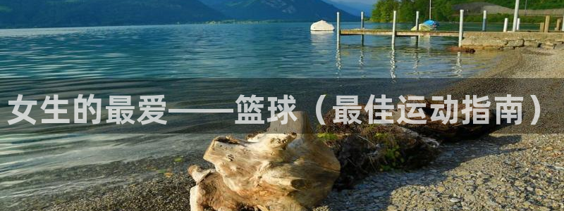 新球体育足球