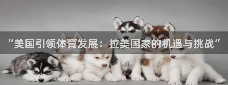 新球体育没有了盘口