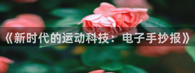 新球体育APP旧版本