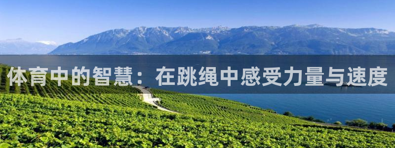 新球体育安卓版下载