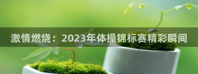 新球体育app下载：激情燃烧：2023年体操锦标赛精彩瞬间