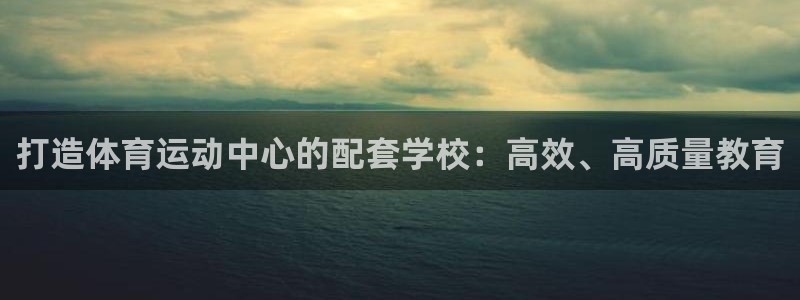 新球体育日职：打造体育运动中心的配套学校：高效、高质量教育