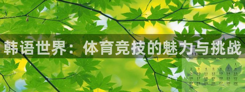 新球体育英超转会