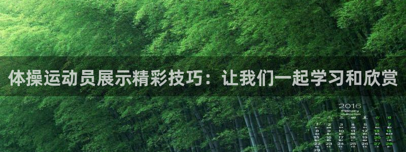 新球体育蓝球比分