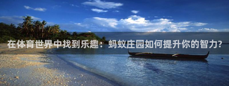新球体育电脑版