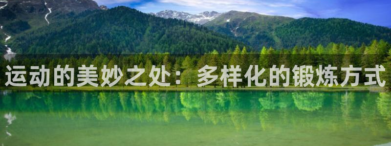 新球体育英冠