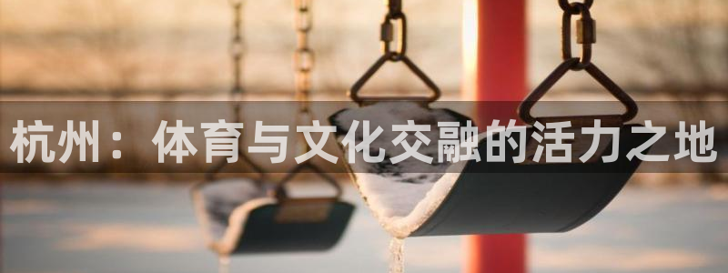 新球体育手机网页