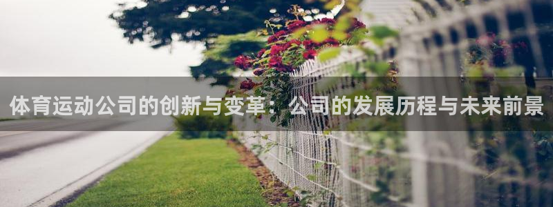 新球体育历史版本