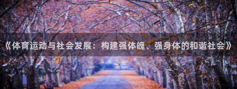 新球体育网球比分