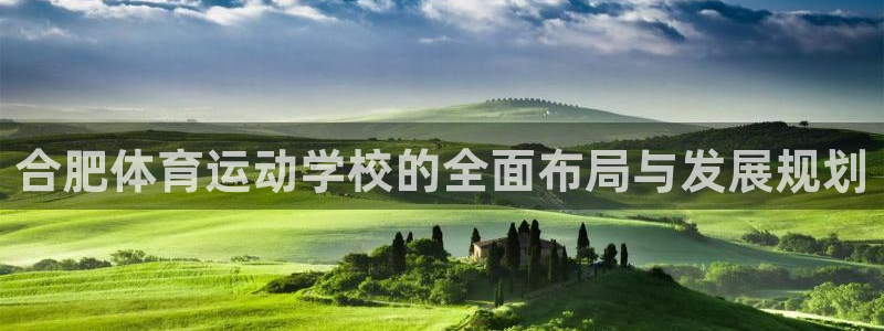 新球体育葡超赛程比分：合肥体育运动学校的全面布局与发展规划